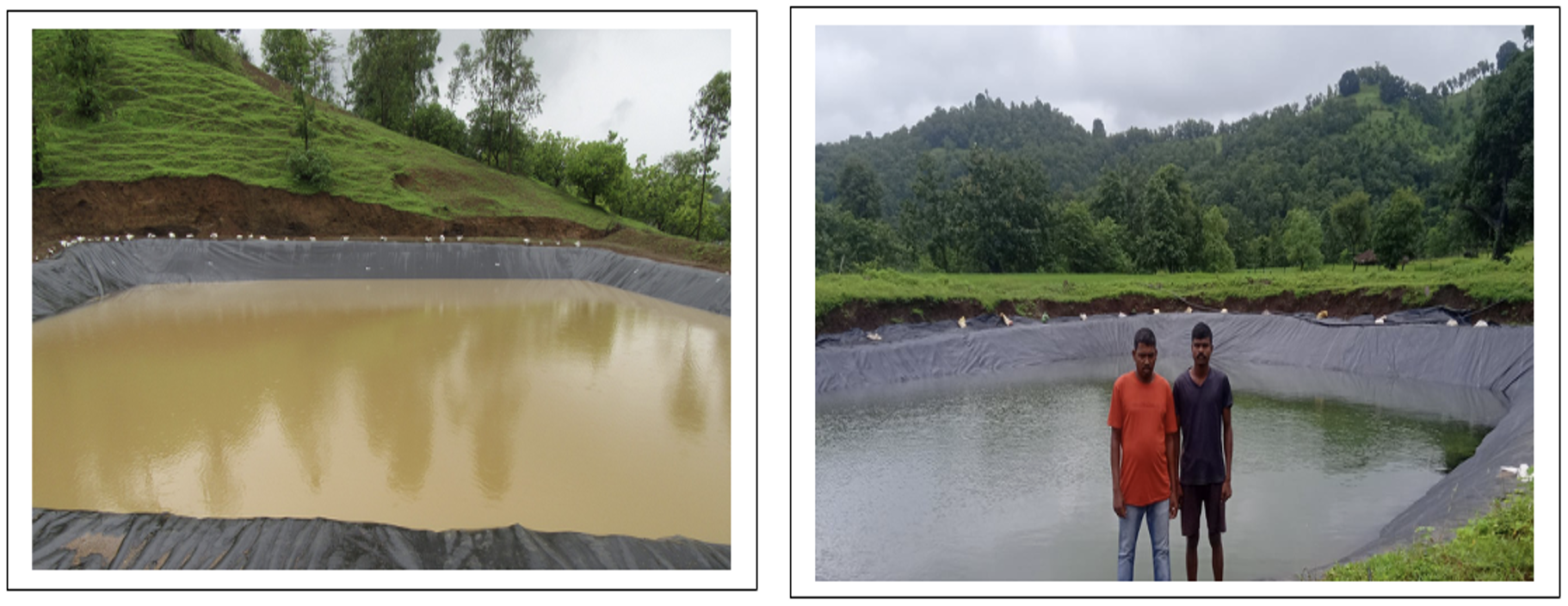 6.	DRIP IRRIGATION + FARM POND