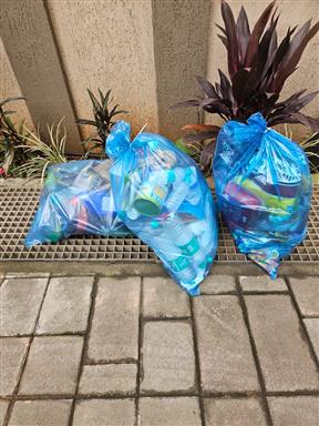 Plastic waste collection
