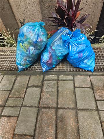 Plastic Waste Collection