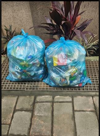 Plastic waste collection