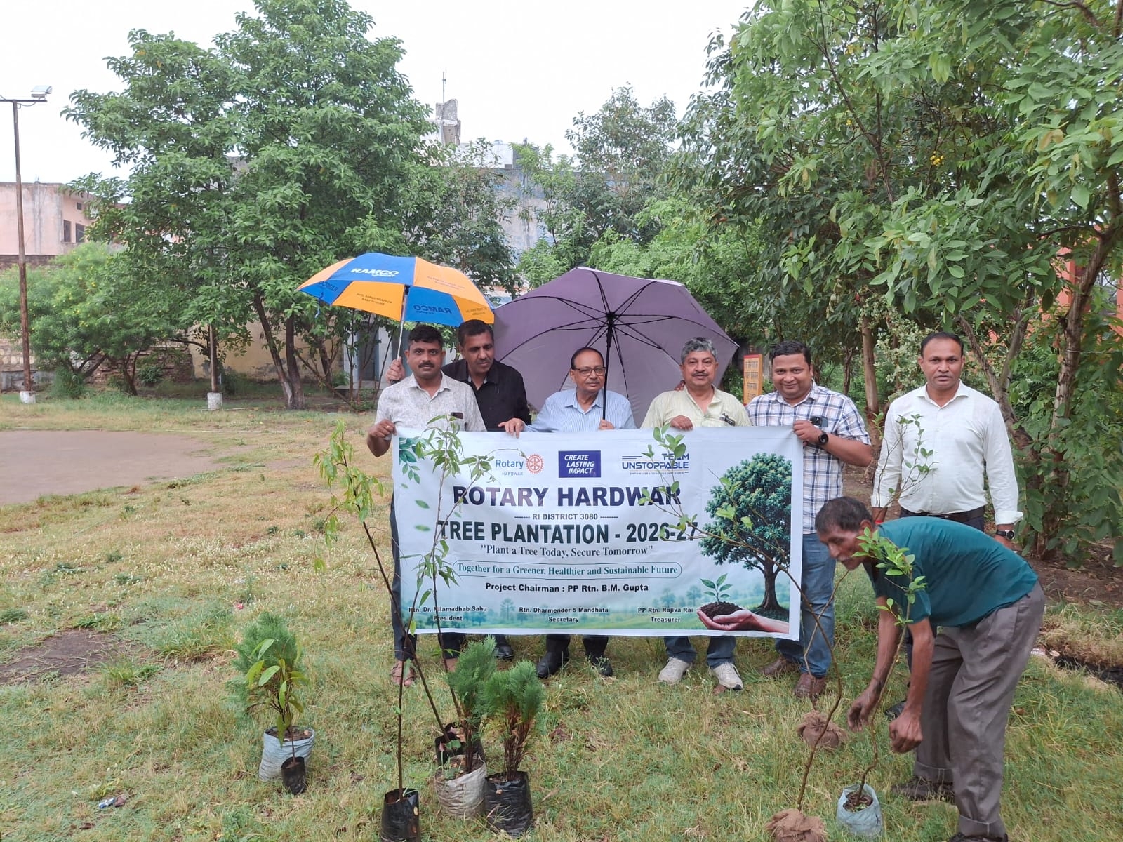 Tree plantation