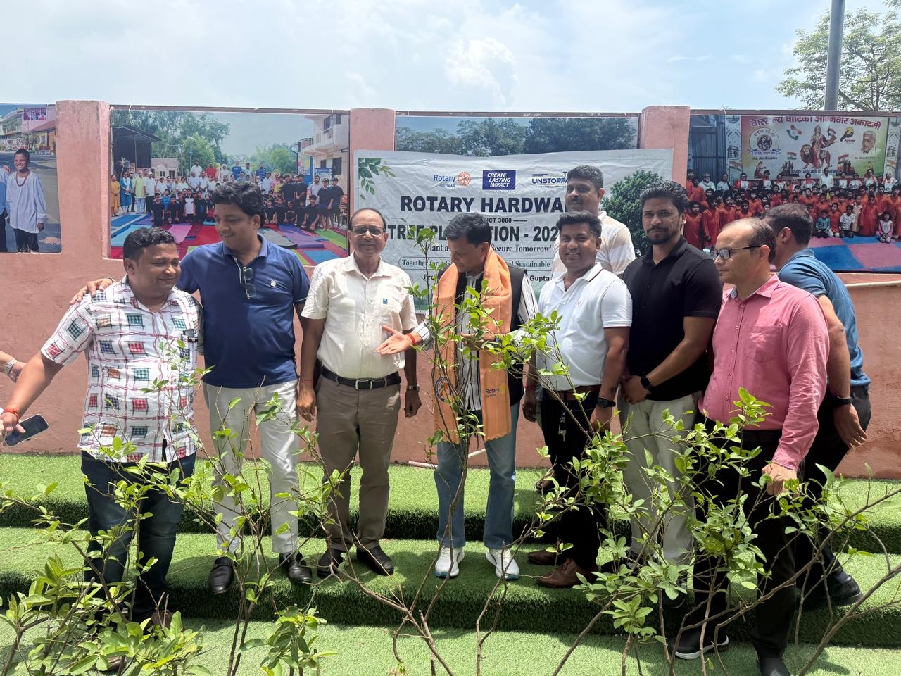 Tree plantation