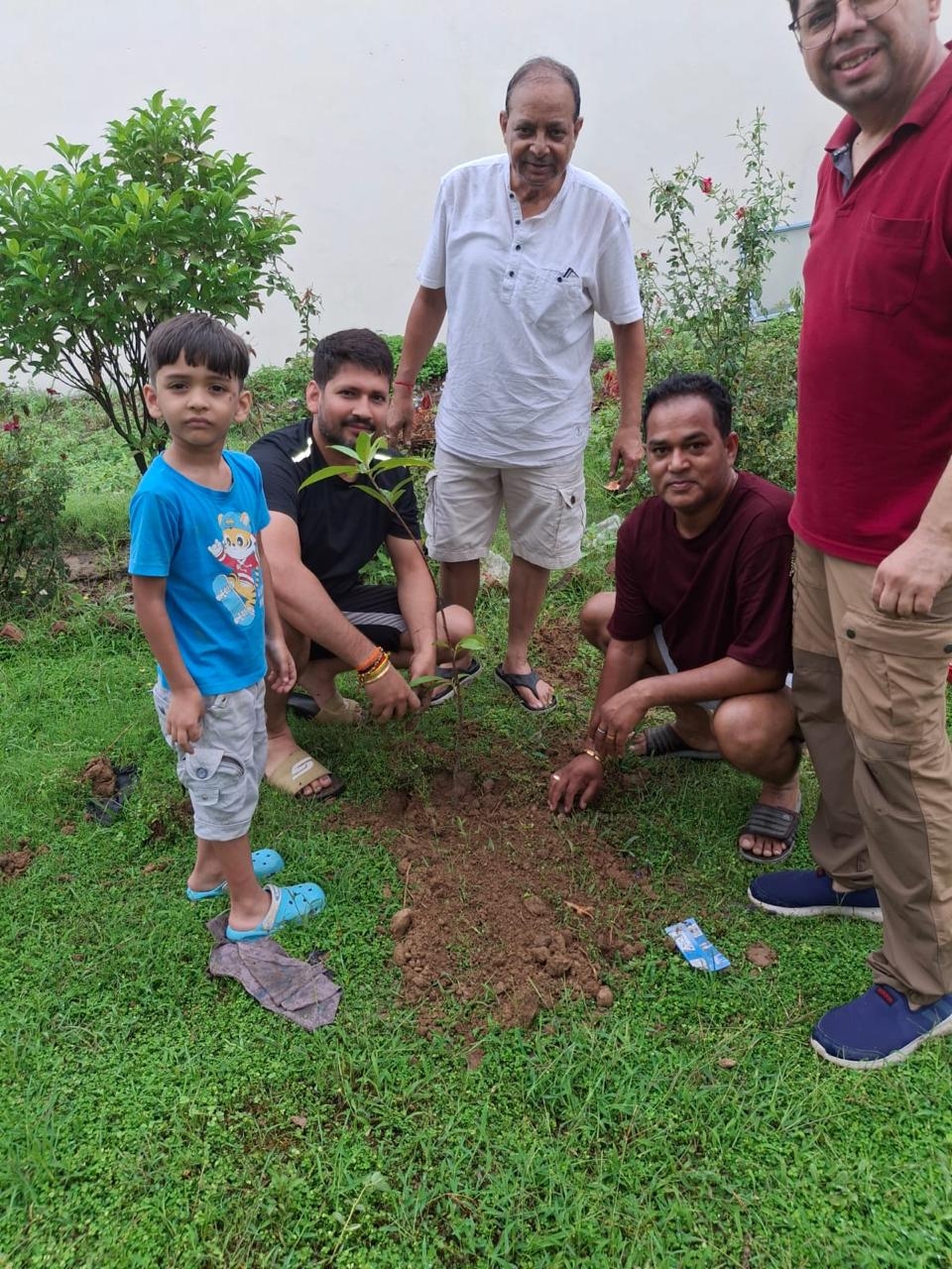 Tree plantation