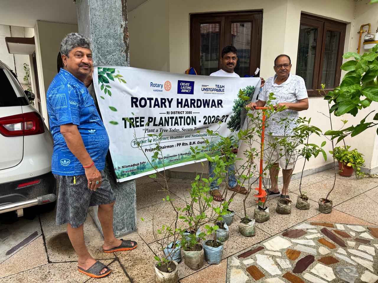 Tree plantation