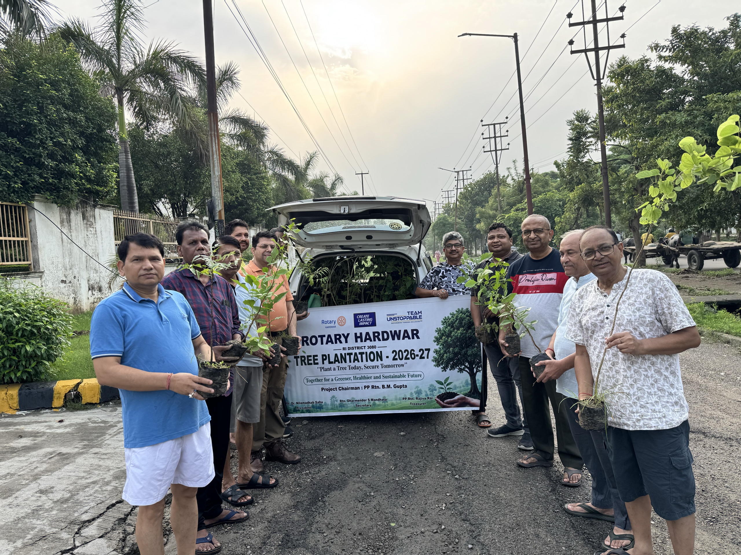 Tree plantation drives