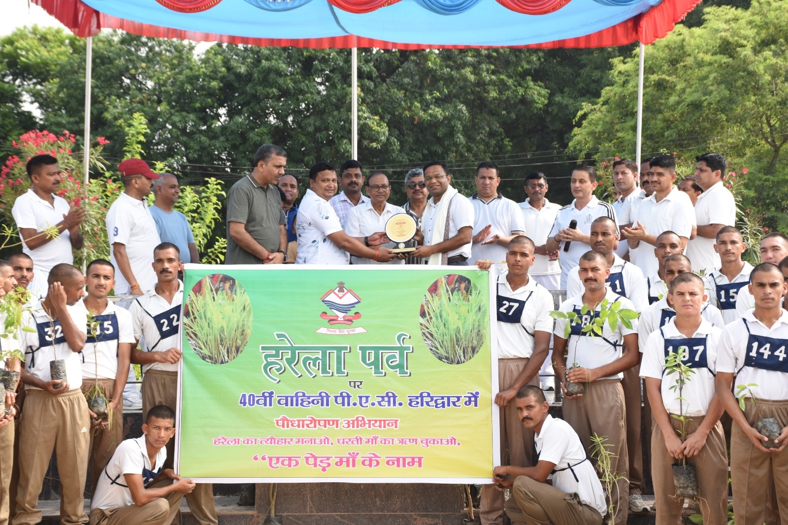 Tree plantation