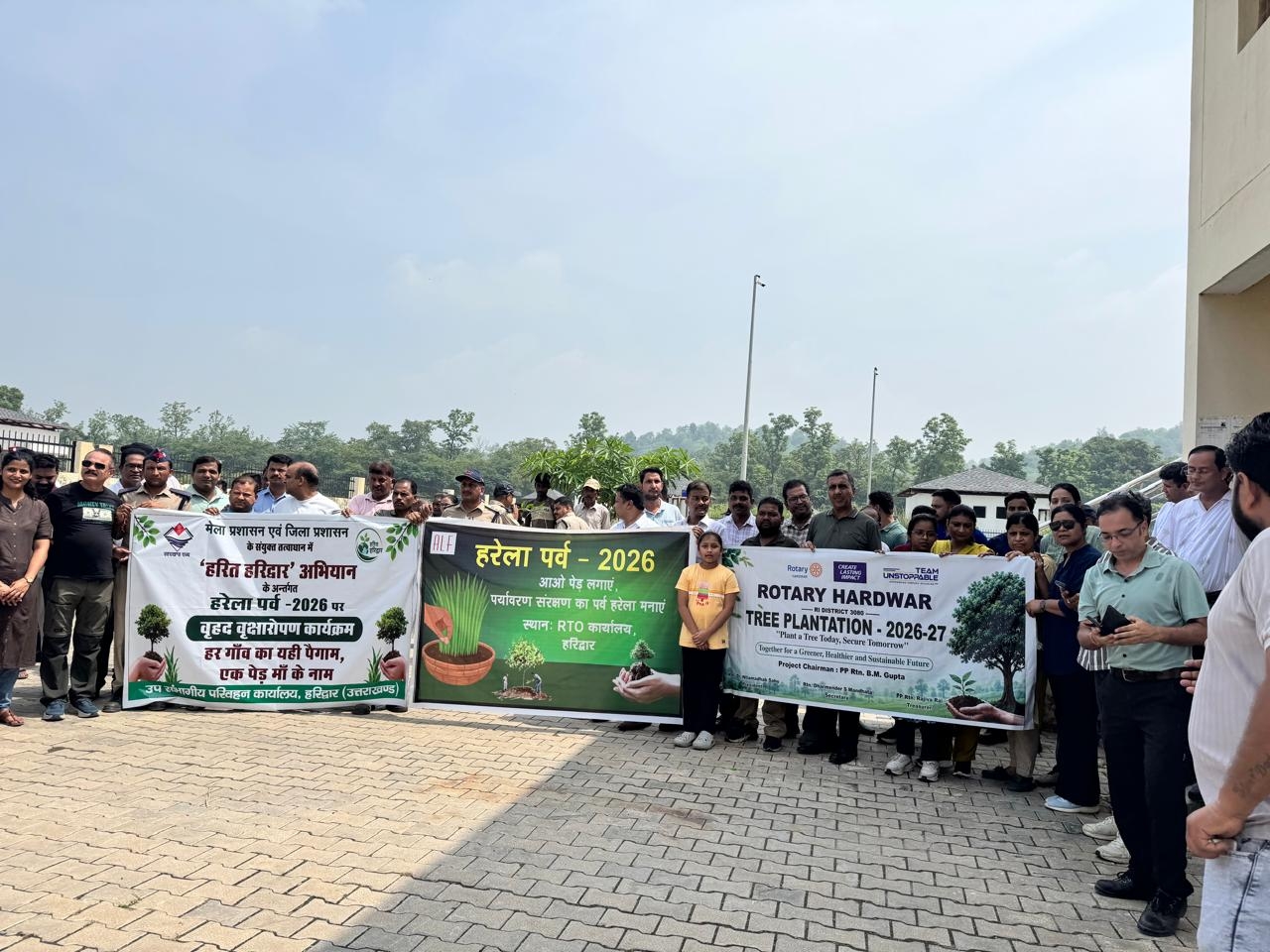 Tree plantation