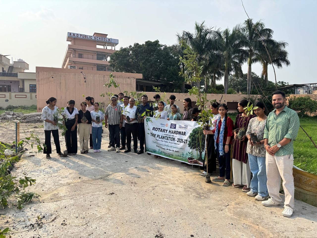 Tree plantation