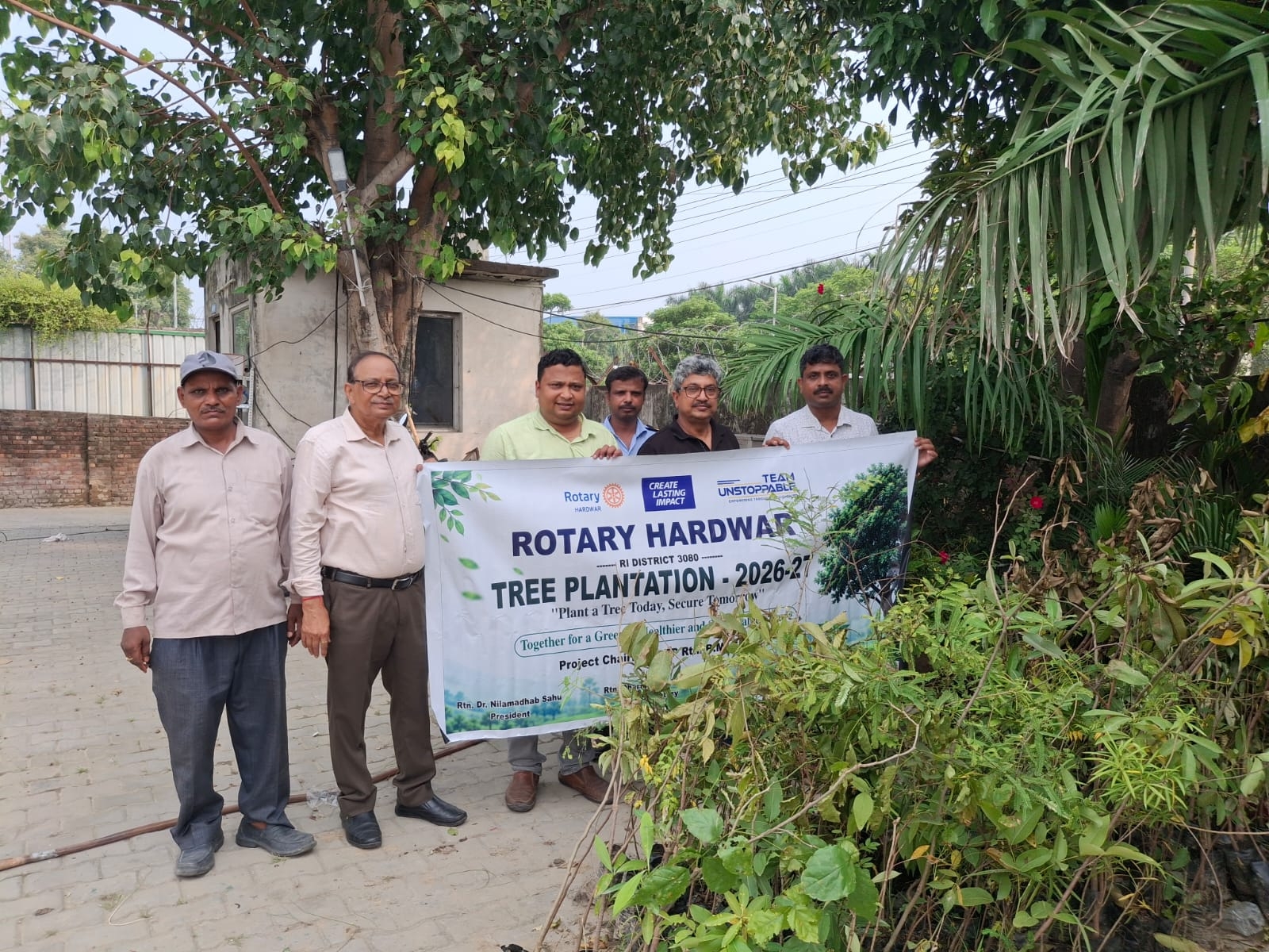 Tree plantation