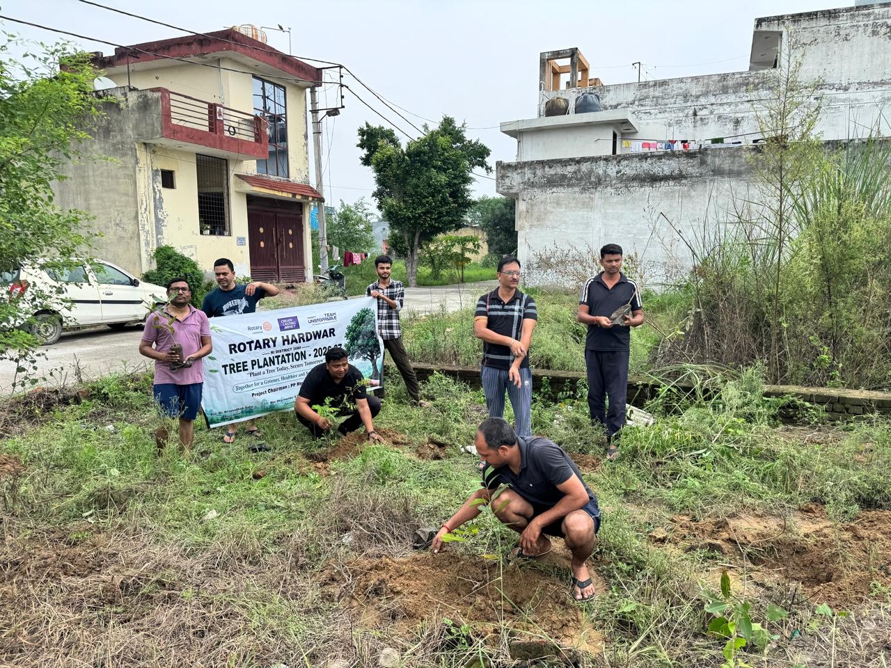 Tree plantation