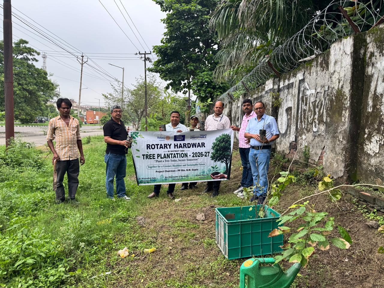 Tree plantation