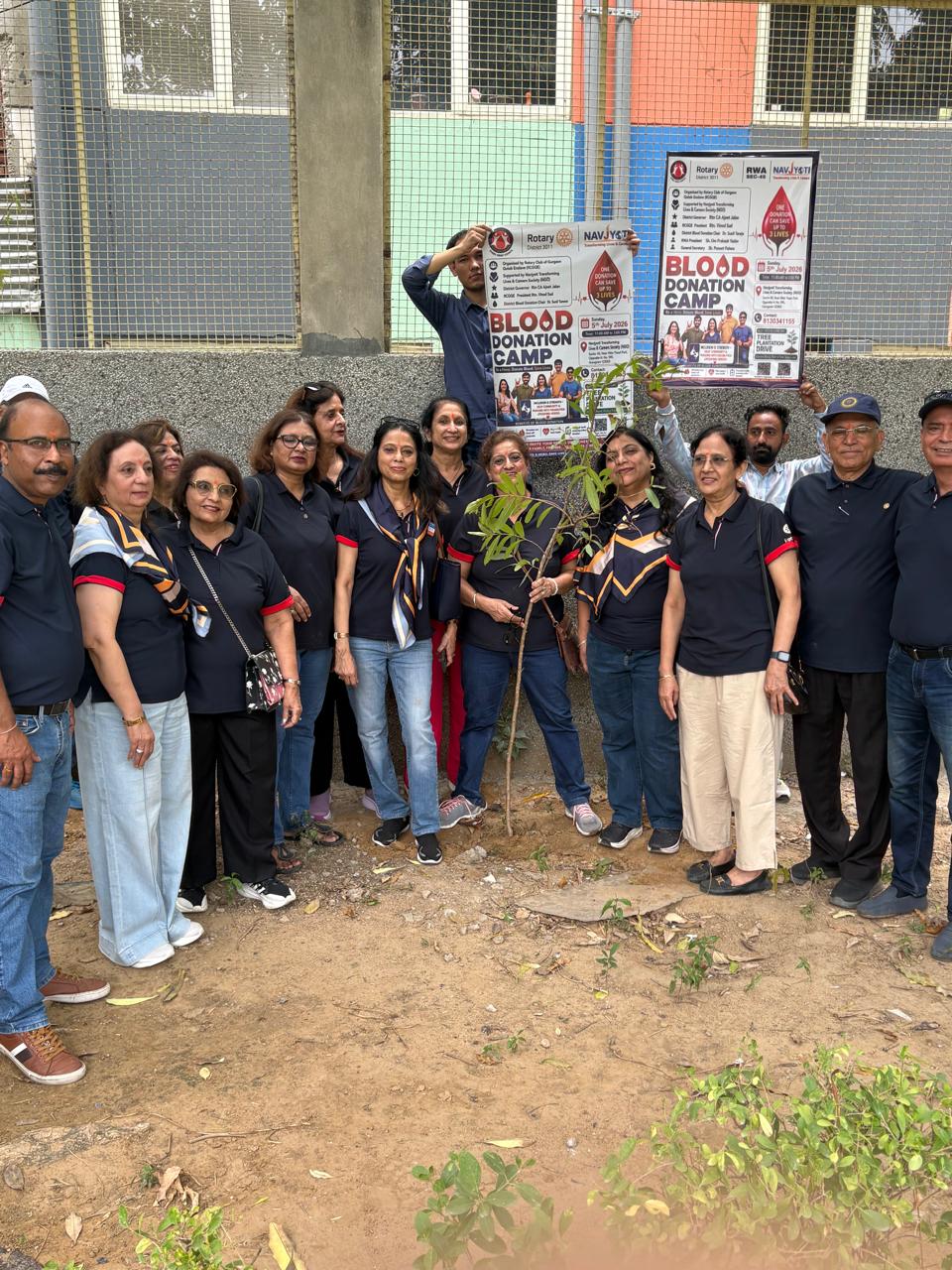 Tree Plantation