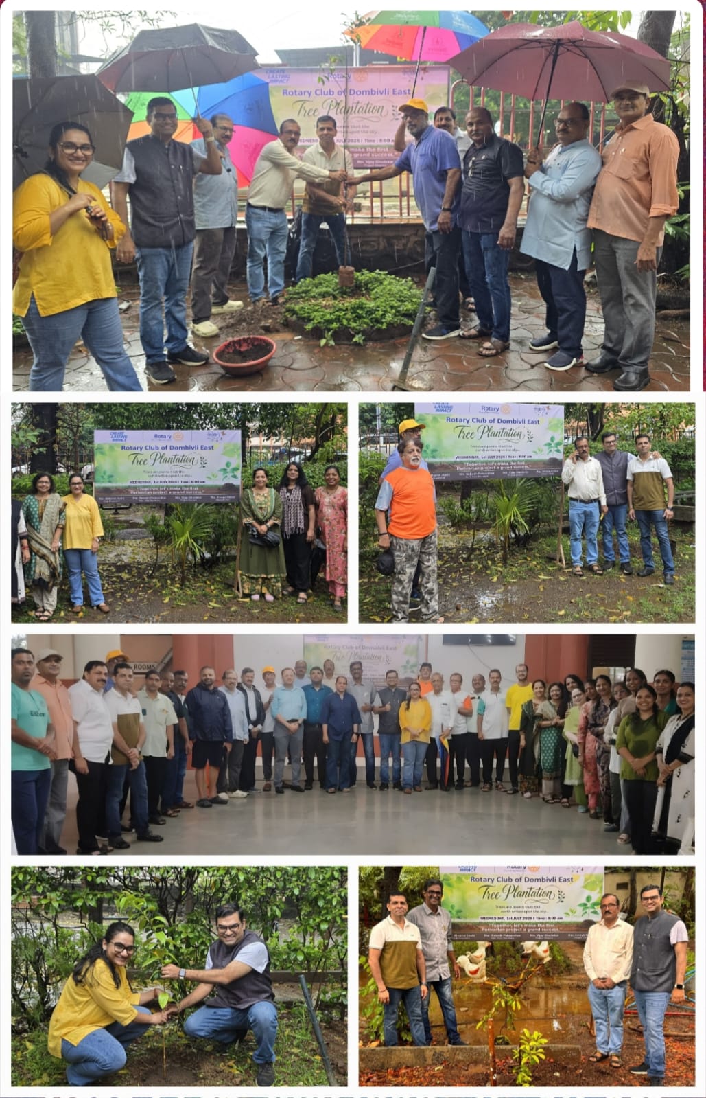 Tree Plantation