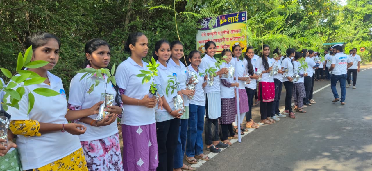 Plantation of trees in Konkan