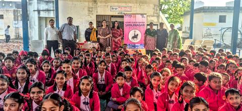 Sweaters Distribution