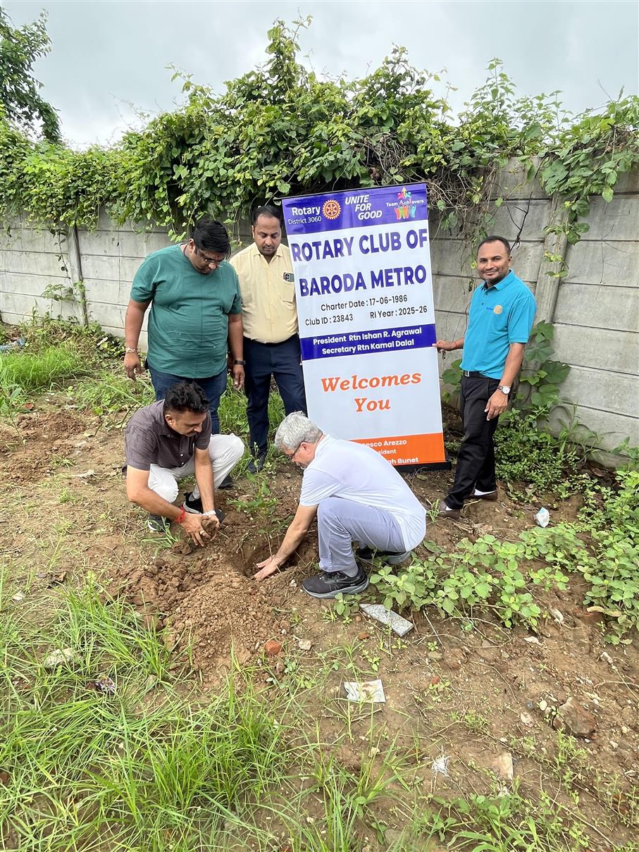 Tree plantation