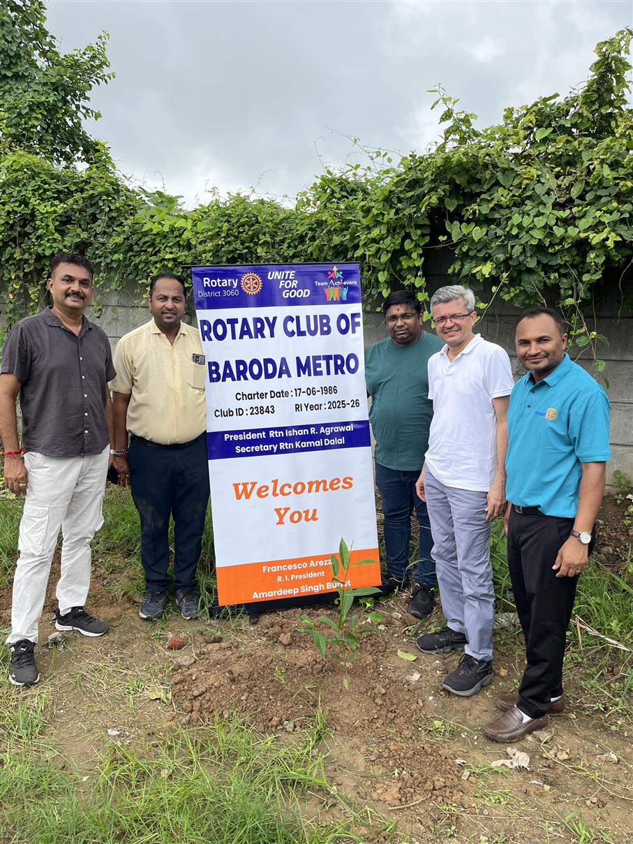 Tree plantation