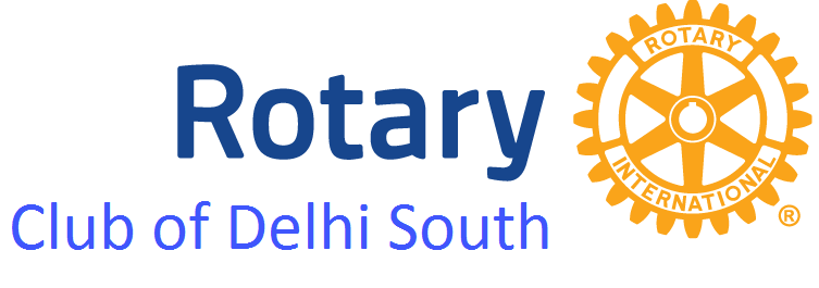 Delhi South logo
