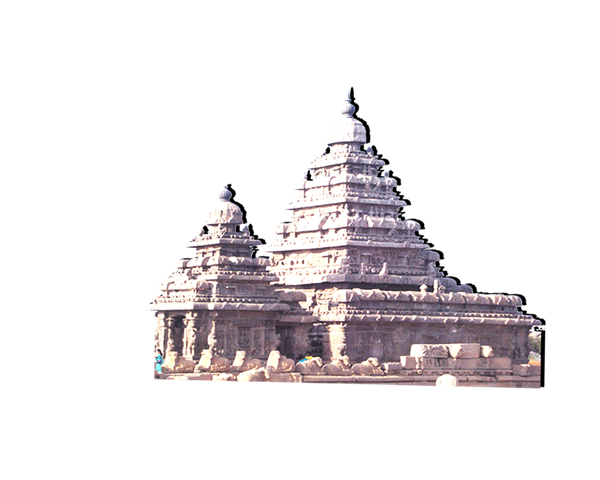 Madras Pallava logo